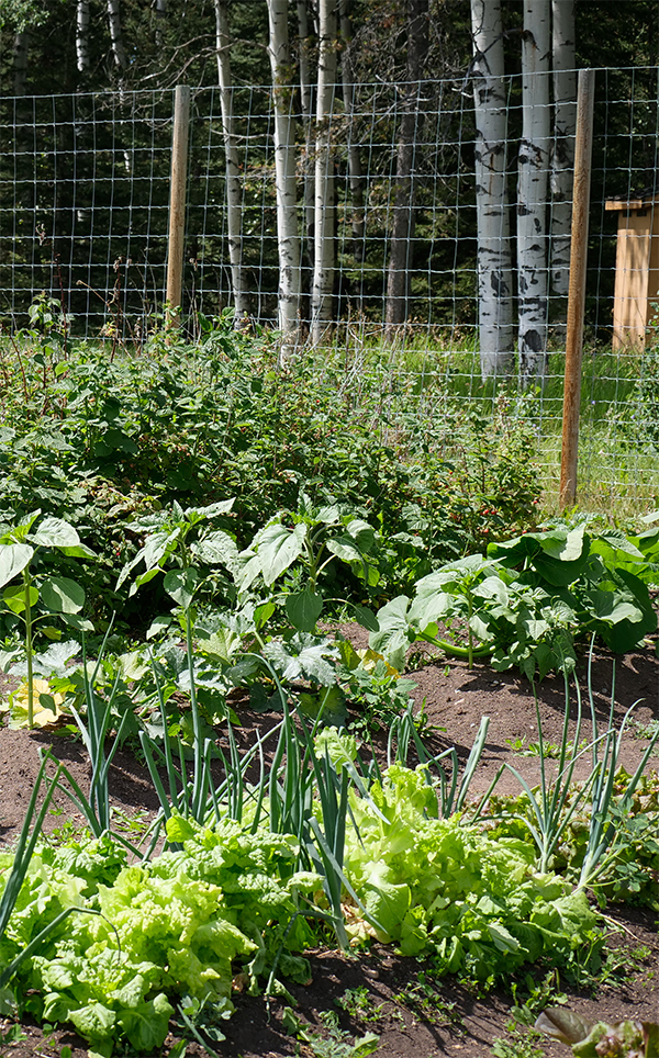 The Garden and the Table