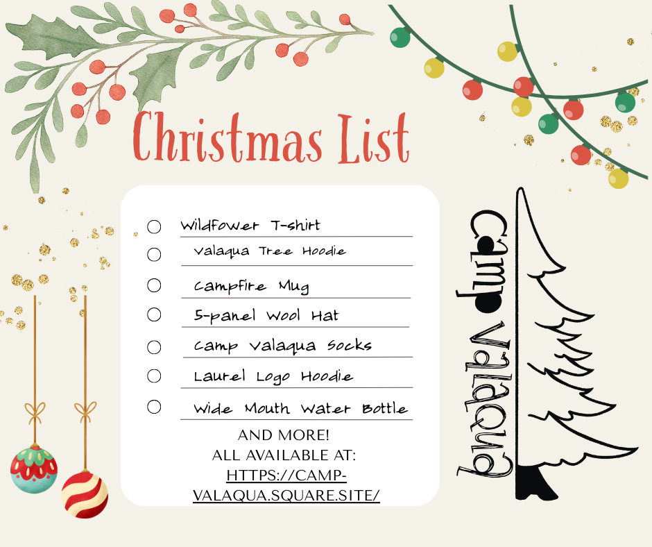 Camp Valaqua Merch Site is live!